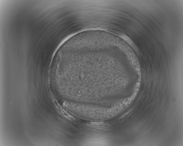 X0000064771052200603031820