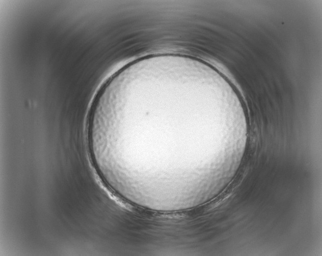 X0000064771053200603031820