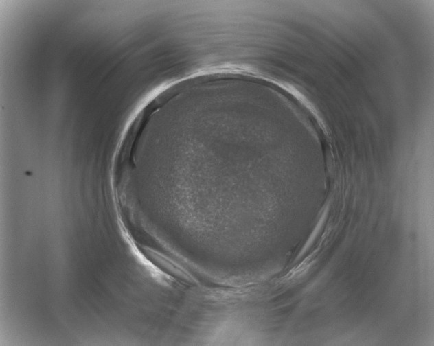 X0000064771054200603031820