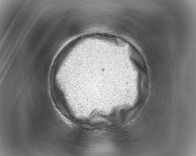 X0000064771056200603031820