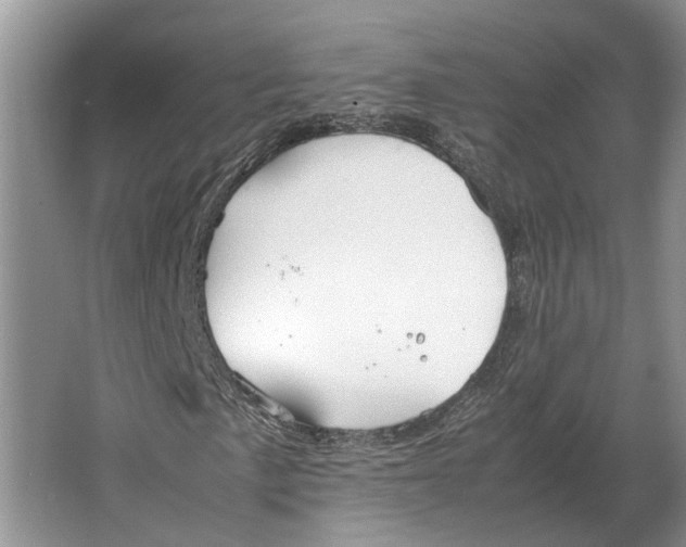 X0000064771057200603031819