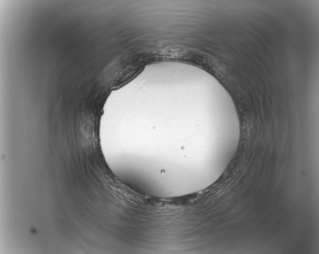 X0000064771058200603031819