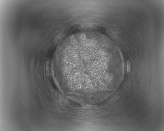 X0000064771059200603031819