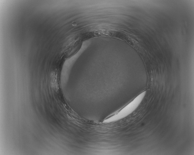 X0000064771060200603031819