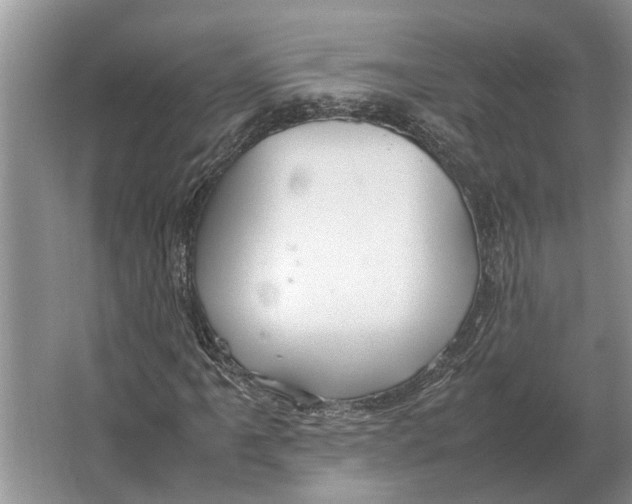 X0000064771061200603031819