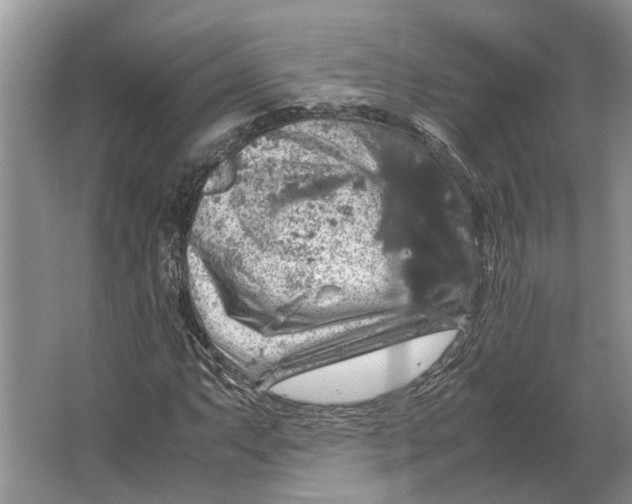 X0000064771063200603031819