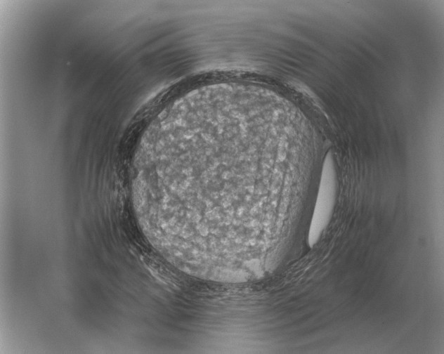 X0000064771064200603031819