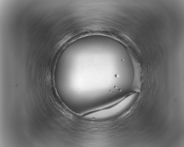 X0000064771065200603031819