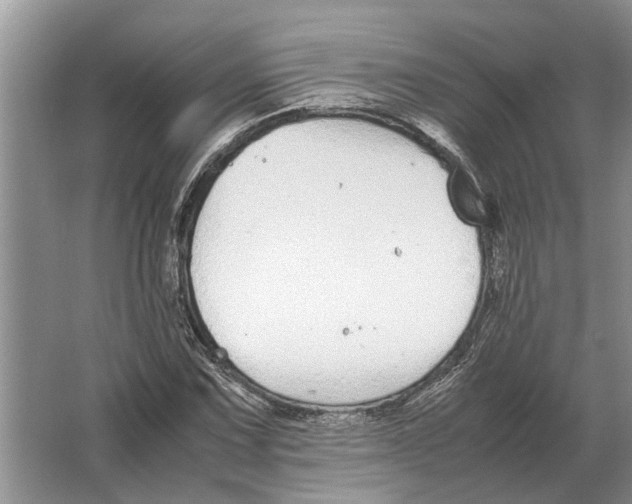 X0000064771067200603031819