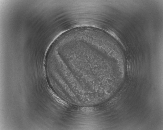 X0000064771068200603031819