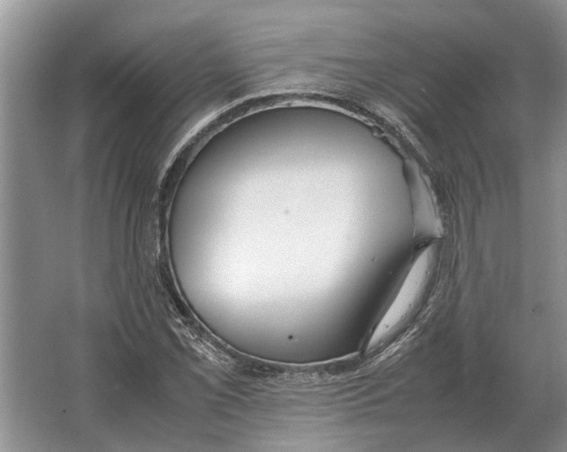 X0000064771069200603031819