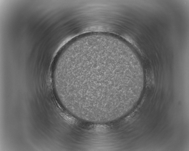 X0000064771070200603031819