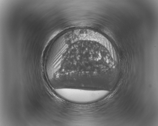 X0000064771071200603031819