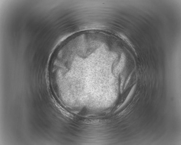 X0000064771072200603031819