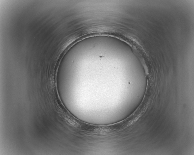 X0000064771073200603031819