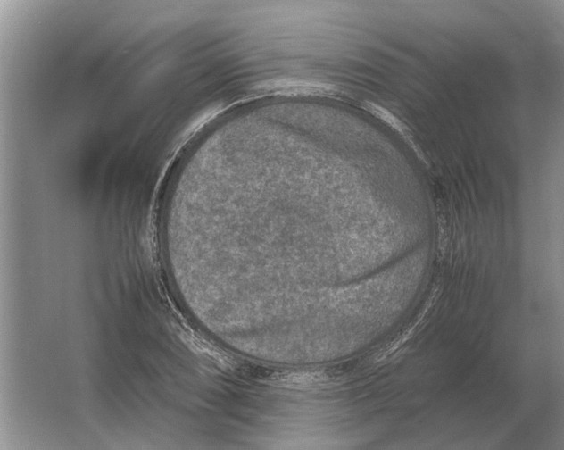 X0000064771074200603031819