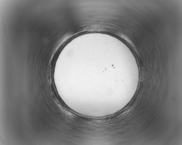 X0000064771075200603031819