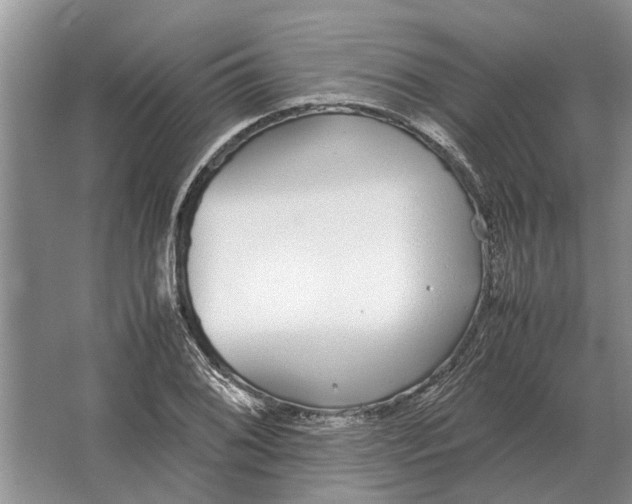 X0000064771076200603031819