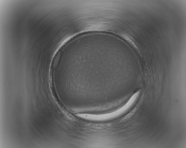 X0000064771077200603031819