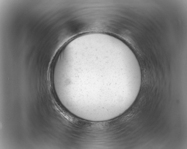 X0000064771078200603031819