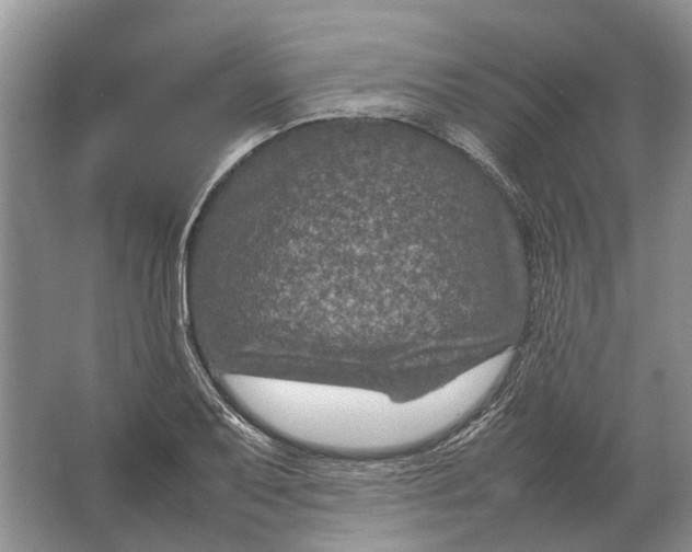 X0000064771079200603031819