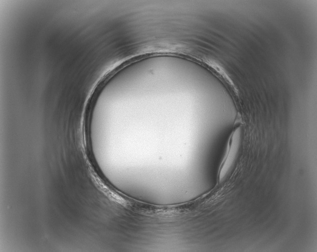 X0000064771080200603031819