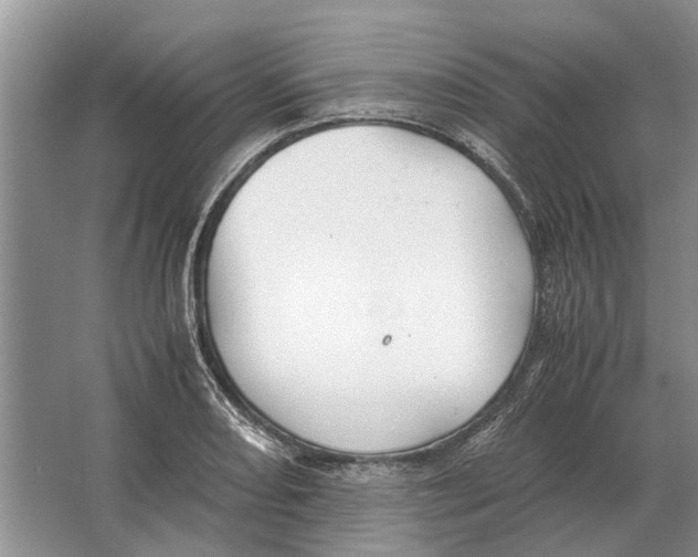 X0000064771082200603031819