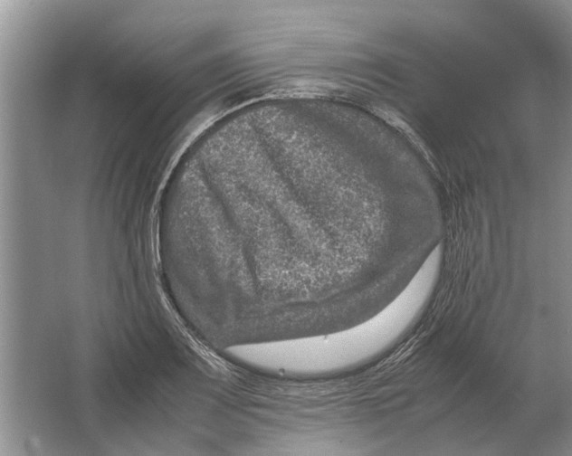 X0000064771083200603031819