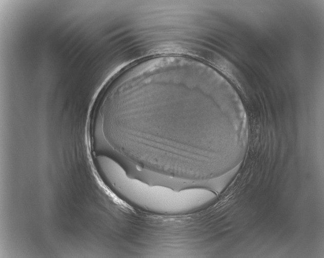 X0000064771084200603031819