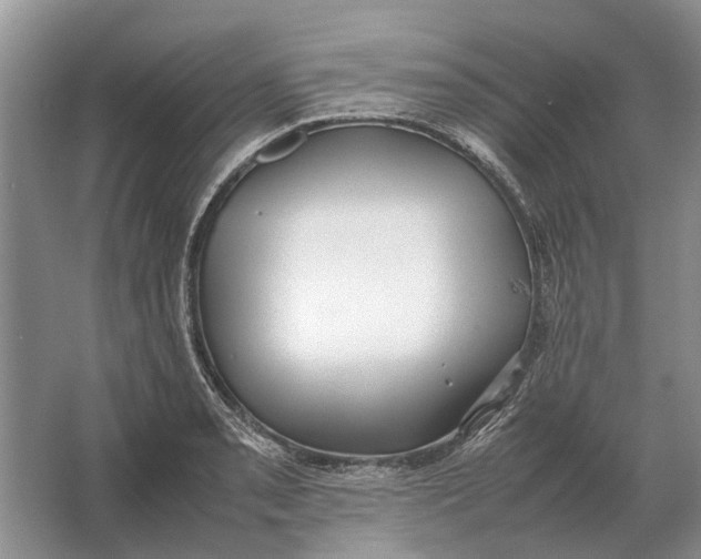 X0000064771085200603031819