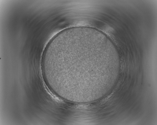 X0000064771086200603031819