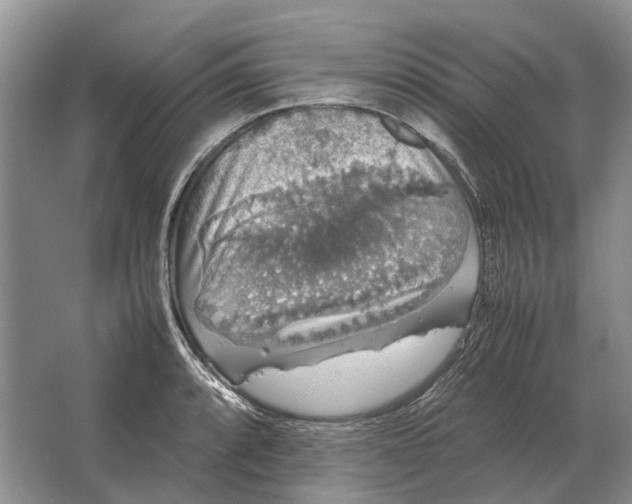 X0000064771088200603031819