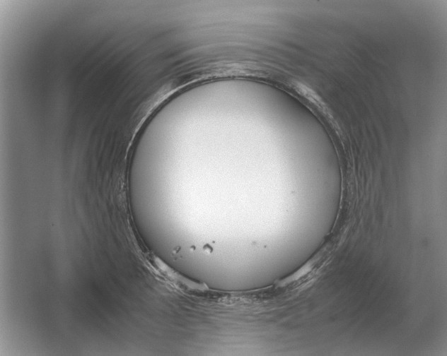 X0000064771089200603031819