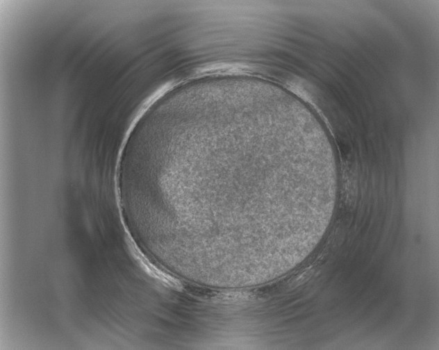 X0000064771090200603031819