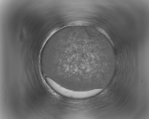 X0000064771091200603031819