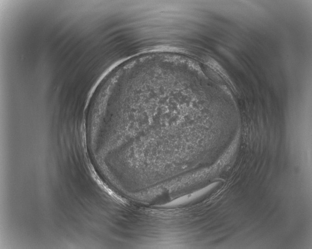 X0000064771092200603031819