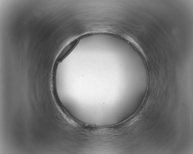 X0000064771093200603031819