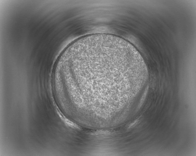 X0000064771094200603031819