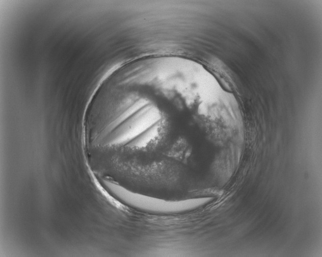 X0000064771095200603031819