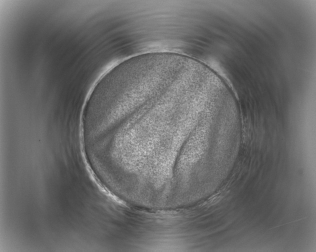 X0000064771096200603031819