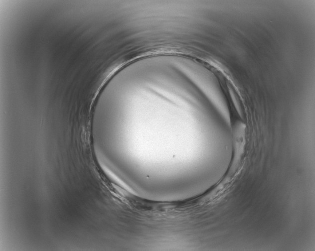 X0000064771097200603031819