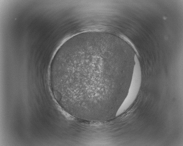 X0000064771099200603031819