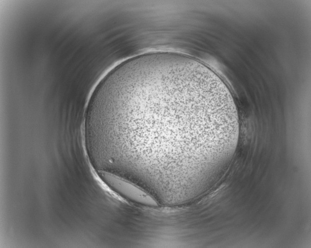 X0000064771100200603031819