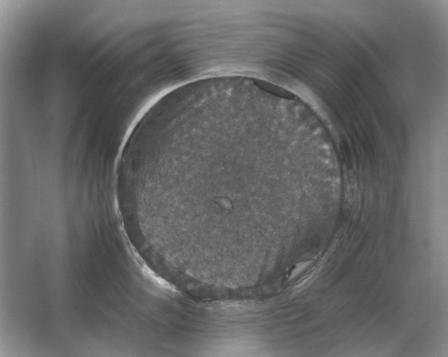 X0000064771102200603031819