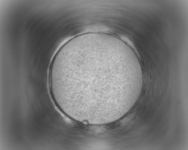 X0000064771103200603031819