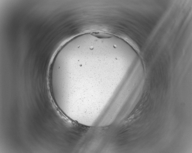 X0000064771104200603031819