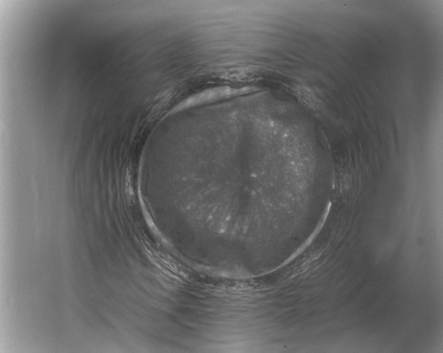 X0000064771106200603031818