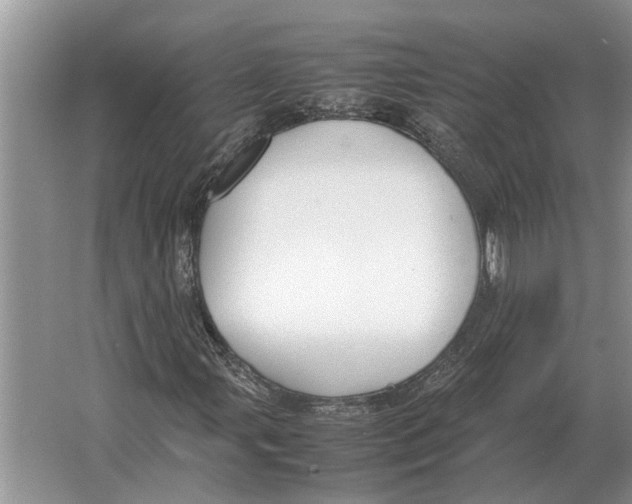 X0000064771107200603031818