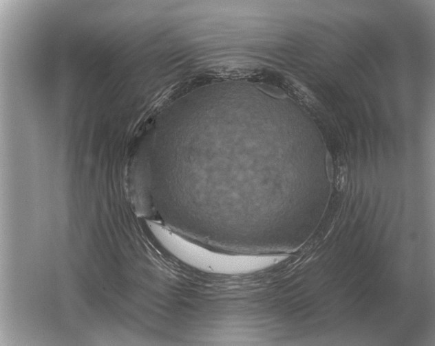 X0000064771108200603031818