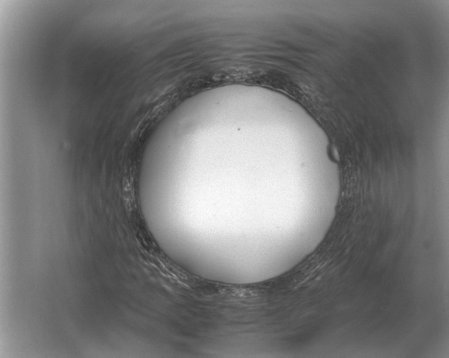 X0000064771109200603031818